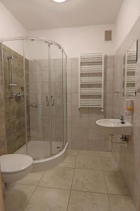 a bathroom with a shower and a toilet and a sink at Centrum Edukacji Ekologiczno-Turystycznej in Myczków +48 photos