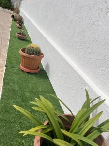 two potted plants on the side of a house at Villa Grazia in Petrosino