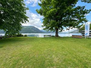 un parc avec un banc sous un arbre au bord de l'eau dans l'établissement Hotel Du Lac - Self Check-in, à Därligen 8 autres photos