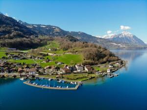 une île au milieu d'une masse d'eau dans l'établissement Hotel Du Lac - Self Check-in, à Därligen