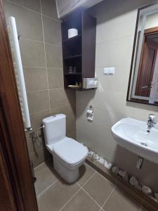 a bathroom with a toilet and a sink at Nowa Prowansja 