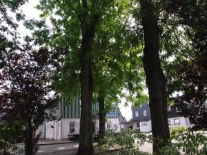 a group of trees in front of a white building at Winterberg Gruppenhaus mit Sauna ideal für Familien & Freunde in Winterberg