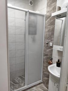 スメデレヴォにあるAria Central Apartmentのシャワー、トイレ、洗面台を備えたバスルーム
