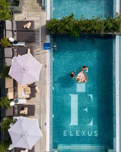 an overhead view of people swimming in a pool with umbrellas at Elexus Boutique in Predeal