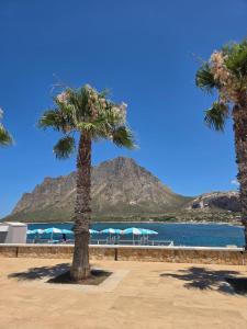 two palm trees on a beach with a mountain in the background at Villamare in Custonaci