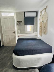 Afbeelding uit fotogalerij van Cassaris Mykonos in Drafaki