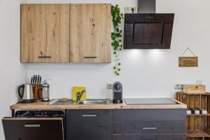 eine Küche mit Holzschränken und einer Spüle in der Unterkunft Royal Garden Residence in Dresden