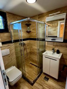 a bathroom with a shower and a toilet and a sink at Onyx Vikendica 1 