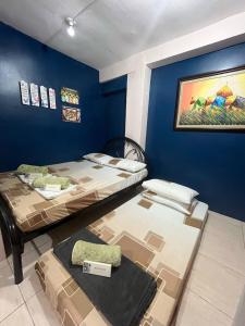 Postel nebo postele na pokoji v ubytování The Blue Room Legazpi City