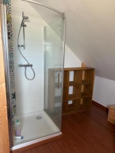 une douche avec une porte vitrée dans une salle de bain dans l'établissement Le Cocon des Volcans d'Auvergne, à La Chapelle-dʼAlagnon 14 autres photos