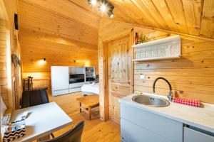 Zgornja VelkaにあるApartma Farm Blissの木造キャビン内のキッチン(シンク付)