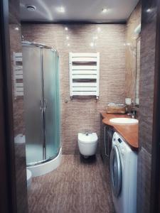 a bathroom with a shower and a sink and a toilet at Apartamenty Biały Kamień in Wałbrzych +8 photos