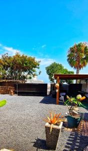 Κήπος έξω από το Finca Lucía - Los Hervideros