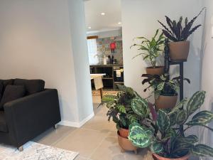 Ruang duduk di Refúgio do Nevoeiro Apart T1 +10 gambar