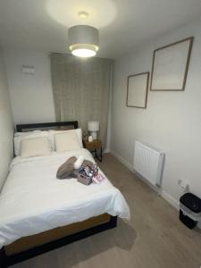 Foto sihtkohas Dublin asuva majutusasutuse The Sheltuh galeriist +7 fotot