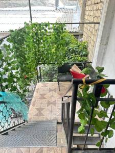 a balcony with a chair and some green plants at Sweet Baku Hostel in Baku