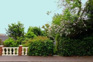 a white fence and some bushes and trees at Lammas Park House in Dawlish