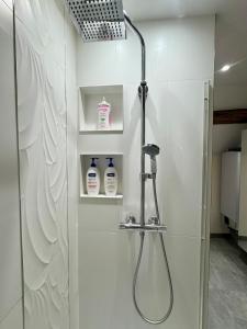 a bathroom with a shower with two bottles of soap at Maisonnette au cœur des vignes in Fixin +25 photos
