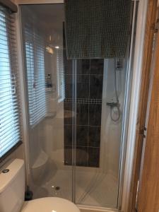 a bathroom with a shower and a toilet at Fern Lodge with Hot Tub in Stonham Aspall +30 photos
