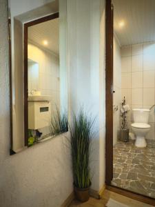 a bathroom with a toilet and a mirror at Books Houses in Beden
