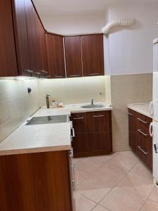 a kitchen with wooden cabinets and a sink at Orientale in Belgrade +8 photos