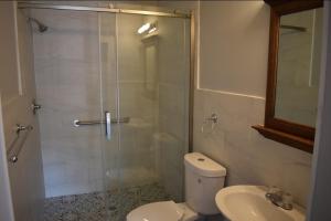 a bathroom with a shower and a toilet and a sink at Tanersville Village Rooms on Saw Mill Creek in Tannersville