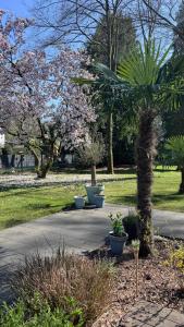 a park with a bunch of trees and plants at FeWo im Vest in Oer-Erkenschwick