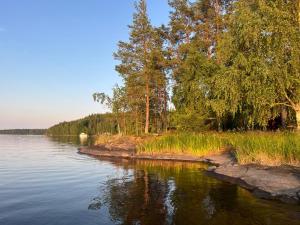 un fiume con alberi sul lato di Villa Laura a Savonlinna
