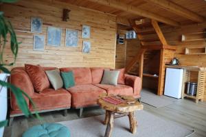 a living room with a brown couch in a cabin at Seyrona Butik Otel in Çamlıhemşin