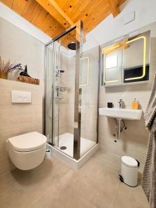 ein Badezimmer mit Dusche, Toilette und Waschbecken in der Unterkunft Luxus Haus direkt am Meer bei Novigrad in Dajla