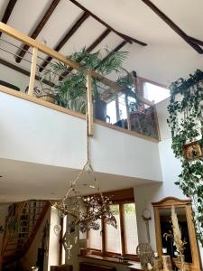 Afbeelding uit fotogalerij van Au moulin maison familiale in La Broque