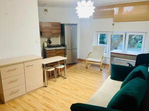 Una cocina y una sala de estar con un sofá y una mesa. en Apartament Copernicus Olsztyn, en Olsztyn
