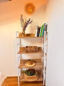 ein Bücherregal in einem Zimmer mit Büchern in der Unterkunft Luxus Haus direkt am Meer bei Novigrad in Dajla