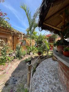 a garden with a patio with potted plants at Coco y Ainhoa Lodge in Paracas +9 photos