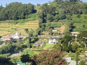 Příroda nedaleko hostelu