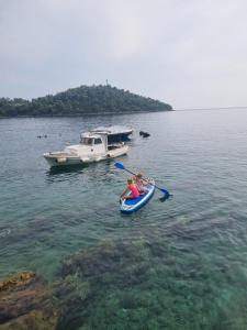 Naturlandskabet i nærheden af lejligheden