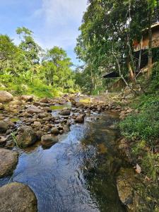 a stream of water with rocks and trees at The BED Forest Camp Lansaka ฟอเรสแค้มป์ ลานสกา in Baen