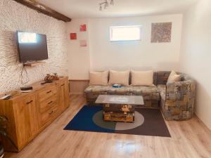 a living room with a couch and a flat screen tv at Midana Vrdnik in Vrdnik