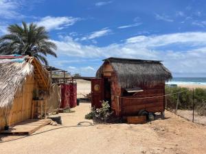 a hut on the beach with a palm tree and the ocean at The Baja Station in San José del Cabo