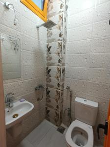 a bathroom with a toilet and a sink at New El Amin Guesthouse in Aswan