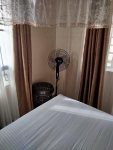 a bedroom with a bed and a fan and a window at Lakeview Apartments - Victoria in Mbita