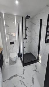 伊诺弗罗茨瓦夫Anpol的带淋浴和卫生间的浴室 更多8张照片