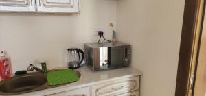 a kitchen counter with a microwave and a sink at Life-forever in Suceviţa