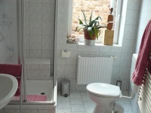 a bathroom with a toilet and a shower and a sink at Hollerhof - Urwüchsiges Paradies - Kreativurlaub in Friedrichswalde +36 photos