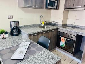 Køkken eller tekøkken på Hermoso Apartamento en la Capital de Chile