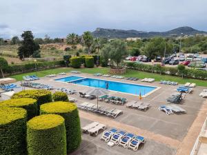Πισίνα στο ή κοντά στο Apartment CarpeDiem Cala Bona Mallorca Cala Millor