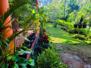 un jardin avec une rangée de plantes sur un mur dans l'établissement Chembani Holidays and Resorts Kanthalloor, à Kanthalloor