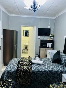 韦尔科姆Acama Guest House的一间卧室设有一张床、一台电视和天花板