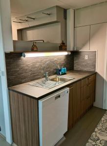 een aanrecht met een wastafel en een vaatwasser bij Einon Tupa in Kittilä