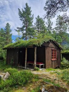 a small cabin with a red window and a bench at Hov Hyttegrend in Viksdalen +19 photos